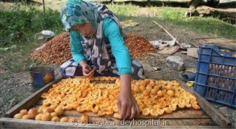 اصلاح وضعیت تغذیه زنان روستایی و عشایر، در دستور كار دو وزارتخانه