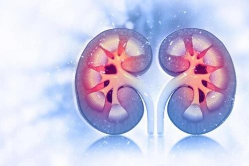 مصرف طولانی مدت داروهای فشارخون به کلیه ها لطمه می رسانند