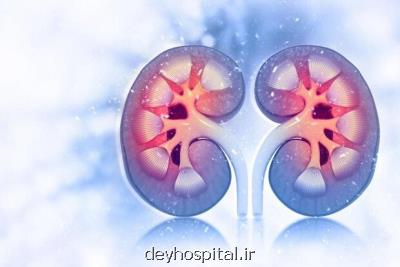 مصرف طولانی مدت داروهای فشارخون به کلیه ها لطمه می رسانند