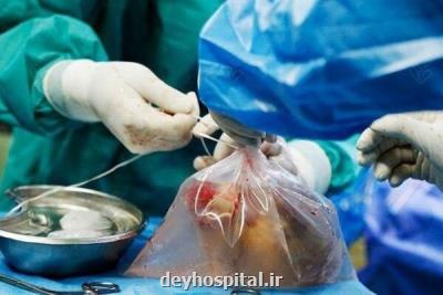 فقط اعضای ۲۵ درصد بیماران مرگ مغزی در کشور اهدا می شود