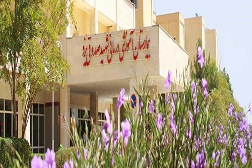 راه اندازی بیمارستان های تخصصی در یزد
