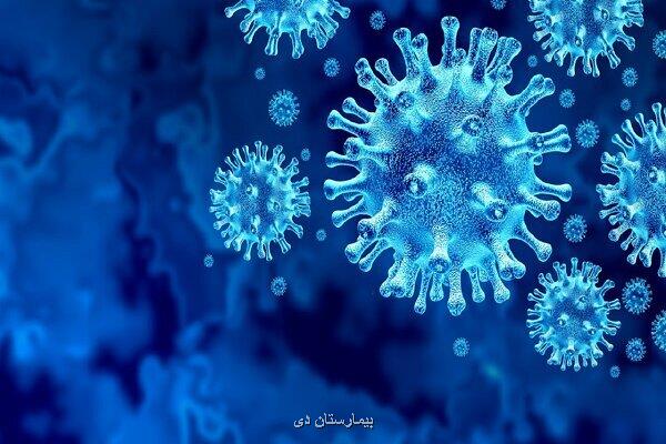 تنها راه در امان ماندن از خطرات کرونا تزریق واکسن است