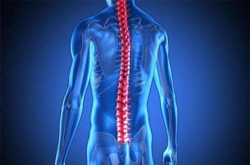 ضایعه نخاعی به متابولیسم بدن صدمه می رساند