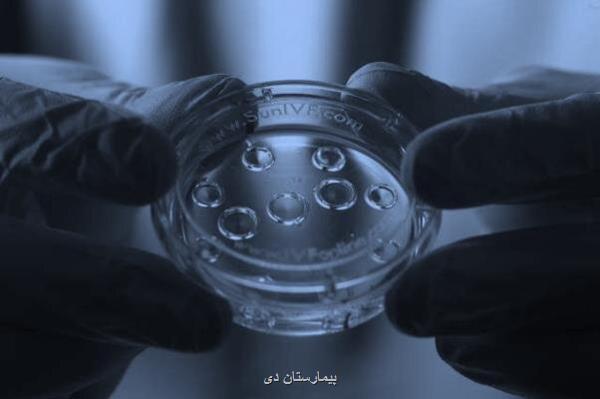 فریز تخمک پلی بین زمان حال و حاملگی مطمئن در آینده