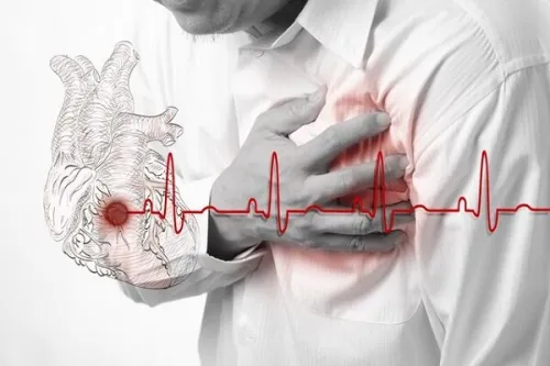 کبد چرب خطر حمله قلبی را بیشتر می کند