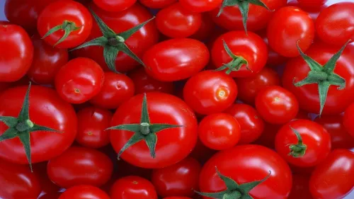 یک راز تغذیه ای درباره ی گوجه فرنگی پخته