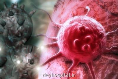 استفاده از سلول های قاتل سرطان برای درمان بیماری های بدخیم خونی