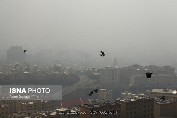 آلودگی هوا علت مرگ ۳هزار تهرانی بالای ۳۰ سال پارسال