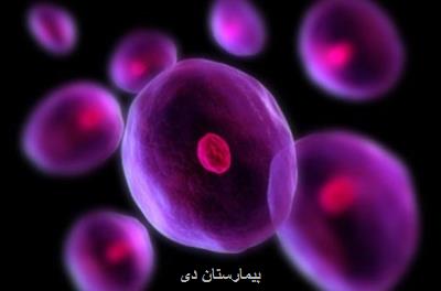 افتتاح بانك سلول های بنیادی خون قاعدگی در ایران